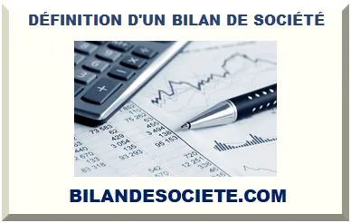 DÉFINITION D'UN BILAN DE SOCIÉTÉ
