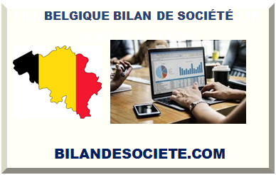 BELGIQUE BILAN DE SOCIÉTÉ