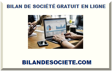 BILAN DE SOCIÉTÉ GRATUIT