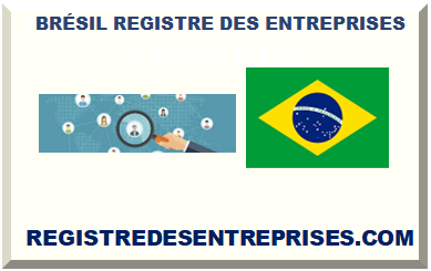 BRÉSIL REGISTRE DES SOCIÉTÉS ET ENTREPRISES