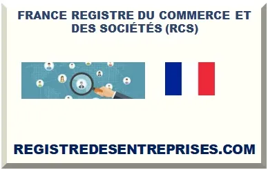 FRANCE REGISTRE NATIONAL DES ENTREPRISES(RNE)