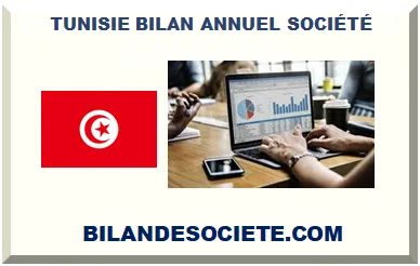 TUNISIE BILAN DE SOCIÉTÉ ENTREPRISE