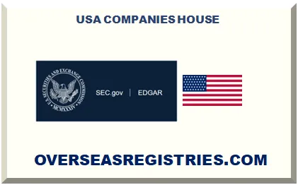 USA COMPANIES HOUSE EQUIVALENT (EDGAR)